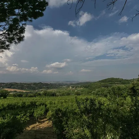 Cozy Farmhouse In With Swimming Pool * Montepulciano Stazione